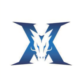 刘洋的扣篮 刘洋的扣篮